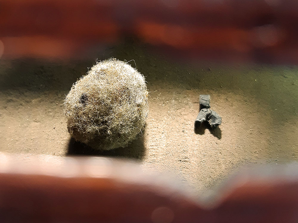 Intérieur d'un violon sale : ces artefacts peuvent modifier le son.